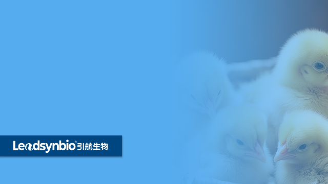 為什么說水溶性25-羥基維生素D? 是一個偽命題 ？｜產(chǎn)品科普
