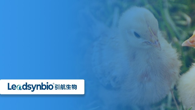 關(guān)于25-羥基維生素D?，你不得不知道的七個問答（二）｜產(chǎn)品科普